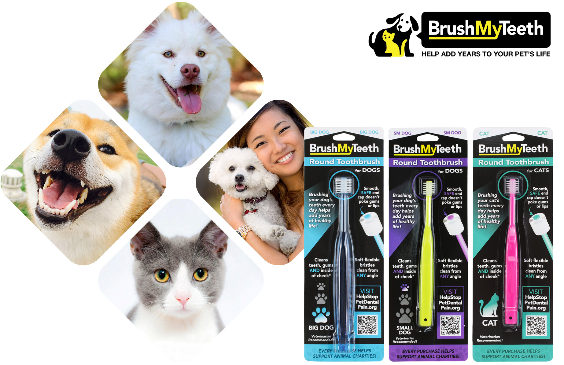 Brush My Teeth - Help Add Years to Your Pet's Life